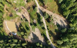 18000 mp de natura pura ,Lupeni, langa Straja - Poză 18