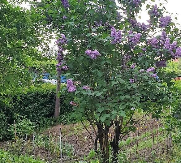 Apartament pretabil locuit sau birouri - Poză 11