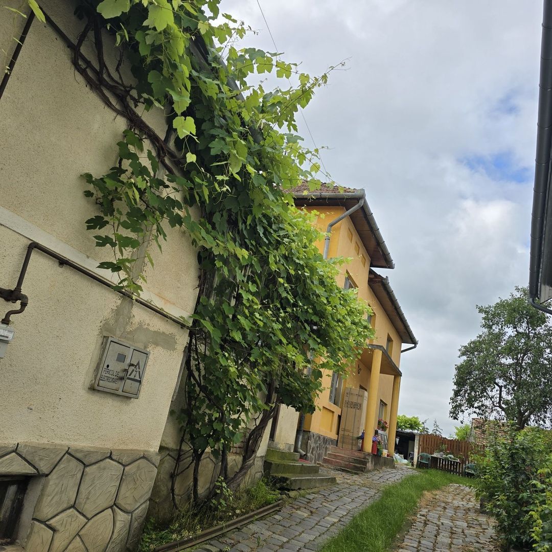 Ansamblu de 2 case  și teren 15 ari, Reghin - Poză 3