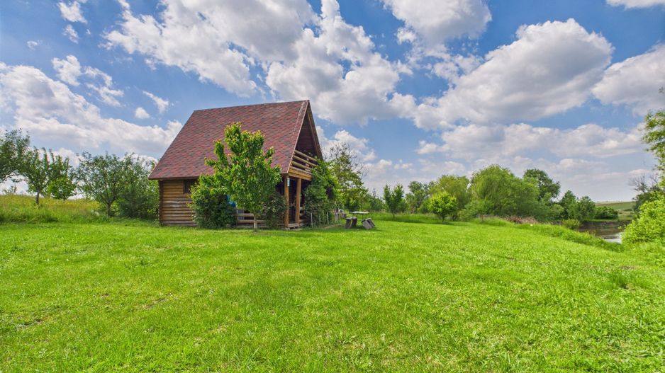 Teren cu baltă- oportunități multiple la Fibiș - Poză 34