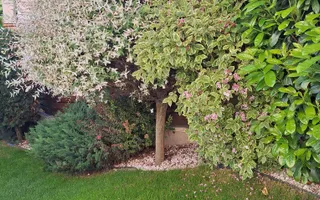 Casa deosebita, Gheorgheni, zona Iulius Mall, Parcul Gheorgheni. - Poză 25