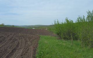 Teren 950 mp, zona Castanilor - lac Delea; - Poză 3