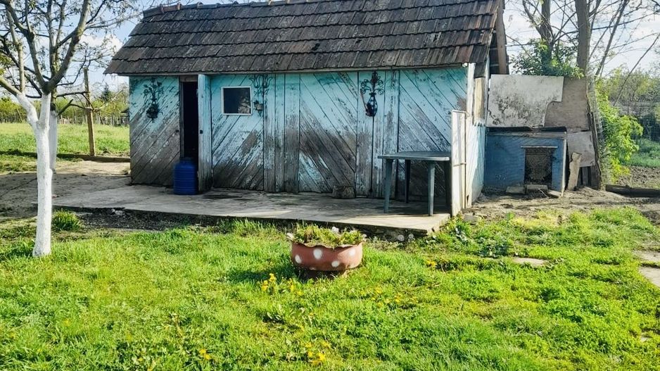 Casă + 2870 mp teren – oportunitate Ciocaia - Poză 7