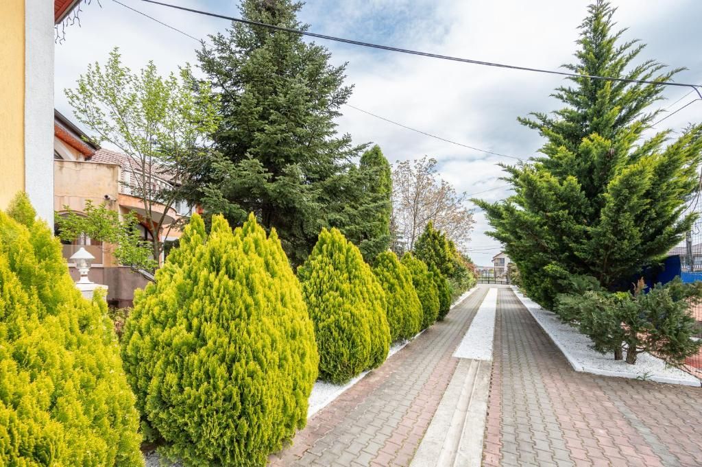Complex turistic pe un domeniu de 5.375 mp | Sânmartin - Poză 2