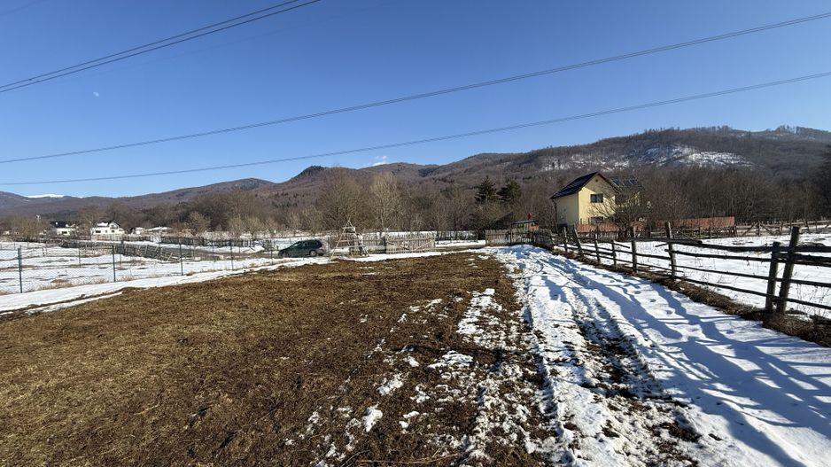 Teren intravilan 4521mp lângă pădure-valea Doftanei -Calea Brasovului - Poză 3