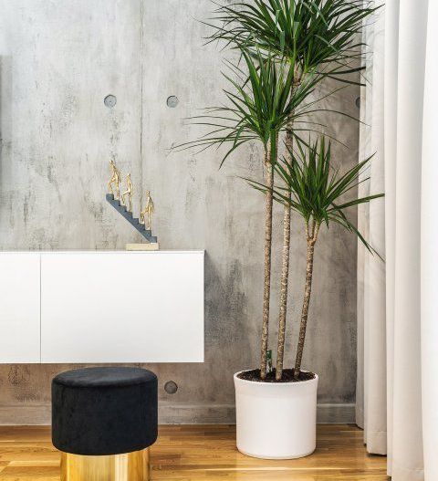 AP 2 CAMERE LUXURIA RESIDENCE, PARCARE, INCALZIRE PARDOSEALA, BLOC NOU - Poză 4