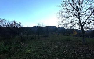 Teren Intravilan cu 2 Deschideri 4000mp Predelut-Bran | GOPO - Poză 11