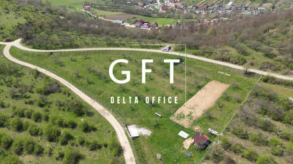 Teren 4850 mp - EXTRAVILAN - Slatinita - Poză 5