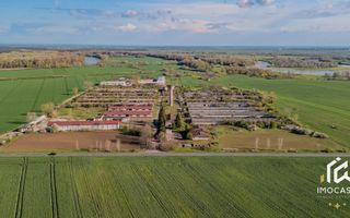 De vanzare Complex Zootehnic Suine Jud. Arad SU 15.30ha, Ferma, Grajd - Poză 10