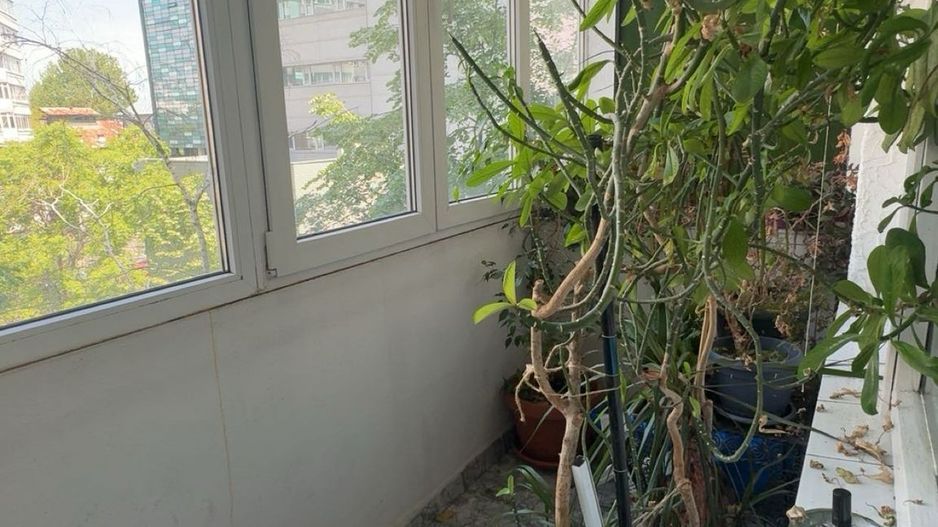 De vanzare Apartament 4 camere Piata Victoriei, Titulescu, Kiseleff - Poză 3