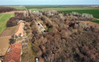 Ferma si livada de meri in judetul Ilfov - Poză 10