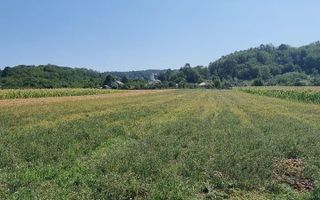 CASA LADESTI-VALCEA| RENOVATA SI MOBILATA| 5000 MP TEREN - Poză 16