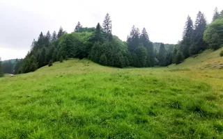 Teren intravilan langa Poiana Brașov, 52 mp front strdal, Utilitati in zona - Poză 11