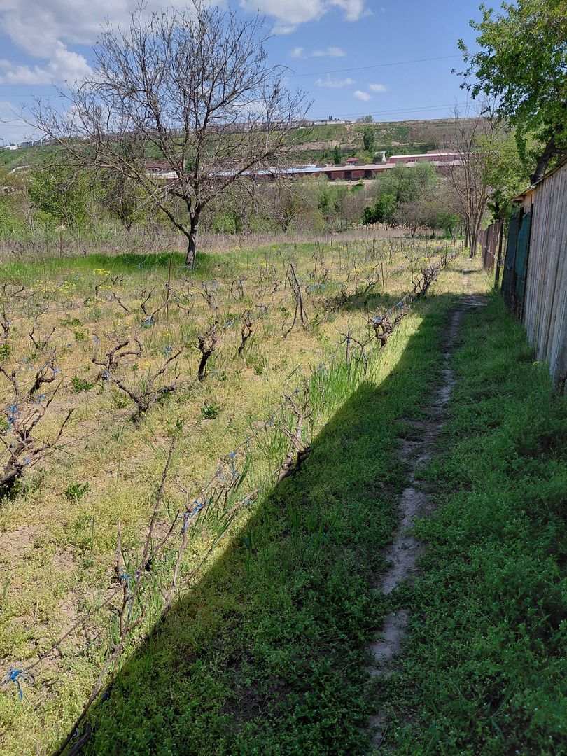 Teren intravilan 3.250 mp în Filești – Ideal pentru casă sau investiție! - Poză 8