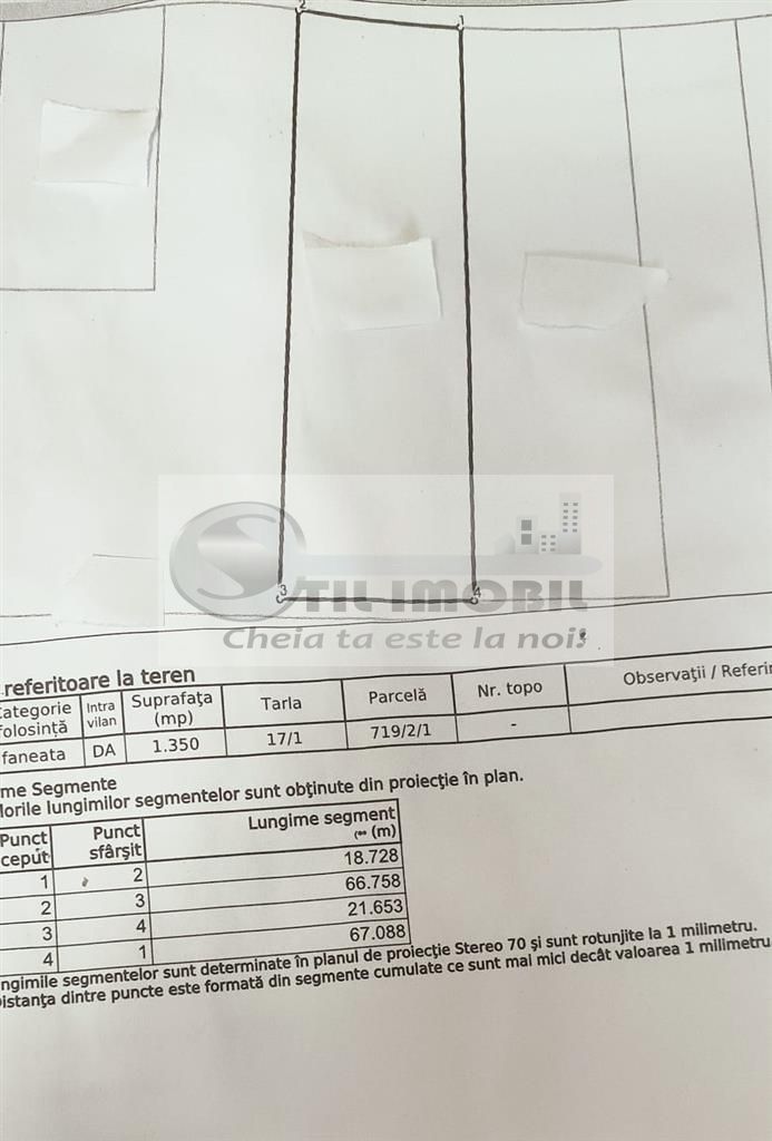 TEREN TOMESTI 1350 MP - Poză 3