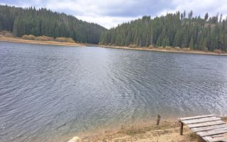 Proprietate unica! Teren generos cu iesire la lac! - Poză 11