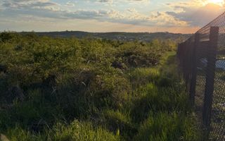 Teren de vânzare în Saldabagiu de Munte, judet Bihor - Poză 4