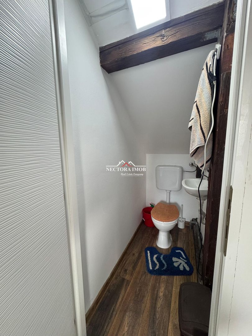 NECTORA IMOB-Spatiu comercial P+M, Ultracentral, Zona Piața Ferdinand - Poză 9