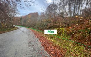 Oportunitate de investiție – Teren pentru hotel / pensiune pe Valea Avrigului - Poză 1