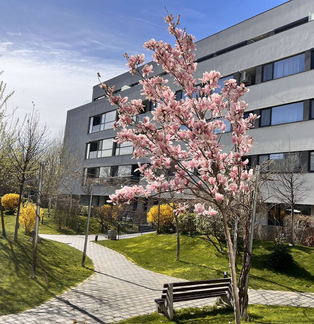 APARTAMENT 3 CAMERE | PROIECT NOU | PISCINA IN COMPLEX - Poză 12