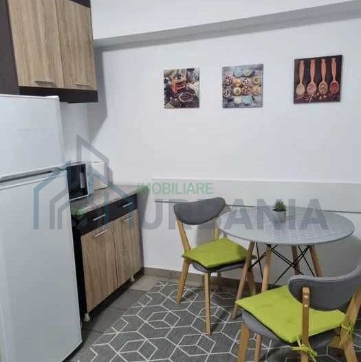 Apartament de inchiriat 1 camera, 40 mp, zona centrala Iasi, langa McDonalds Gara - Poză 4