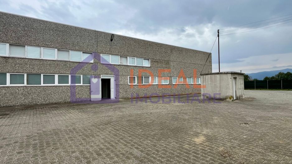 Hala de închiriat – Șelimbăr - Poză 7