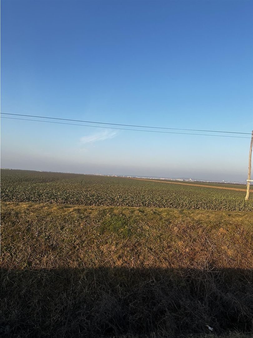 Teren Industrial Oradea spre Livada - Poză 2