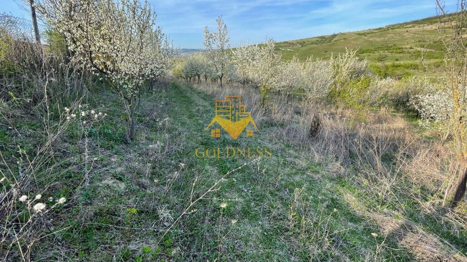 Tren Soporului Intravilan ,5500 MP Utilitati,  Oportunitate - Poză 5