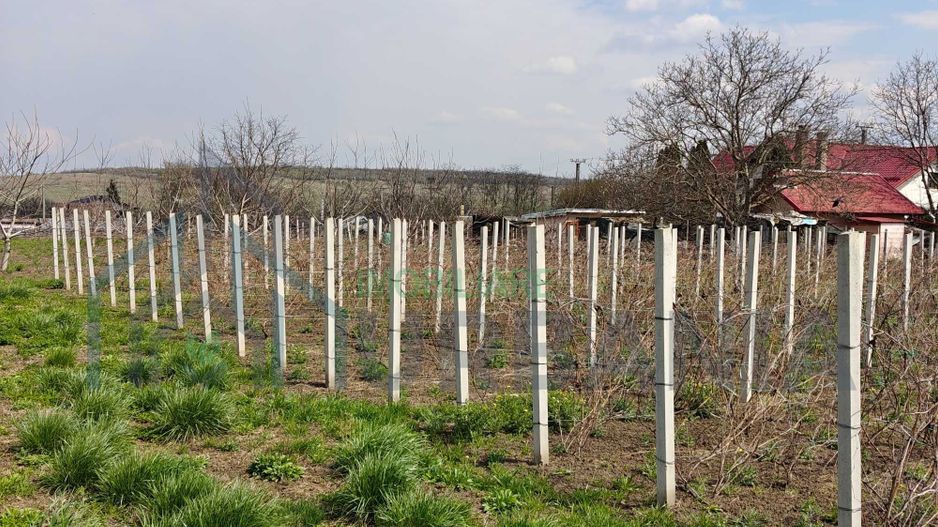 Teren intravilan de 5800 mp, sat Mădârjesti (lângă Sârca) - Poză 3