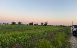 Ideal Investitie - Str Ctin Brancoveanu, zona noua, intravilan in noul PUG - Poză 8
