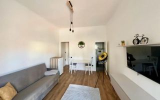 Apartament 1 camera ultracentral– renovat, într-o curte privată. - Poză 3