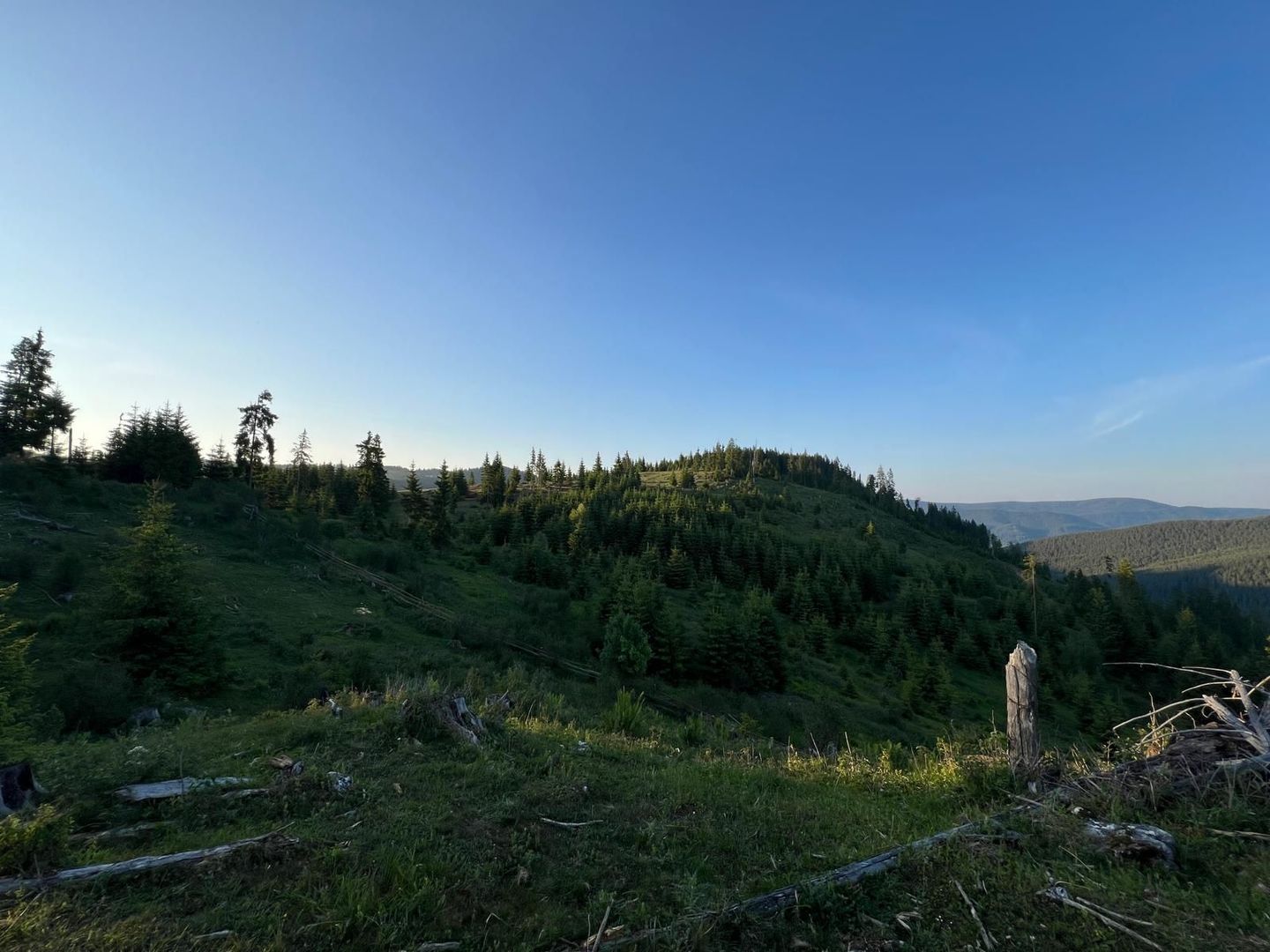 50 hectare teren | Moldova-Sulita | Potential turistic si agricol - Poză 14