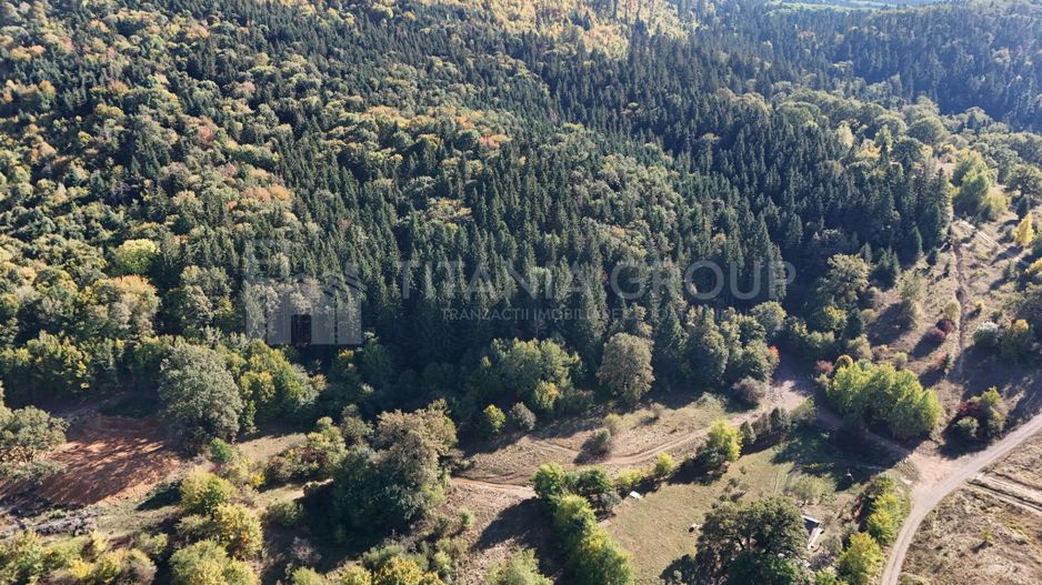 Aproape de Brașov, departe de agitație - Teren cu pădure în Cristian - Poză 10