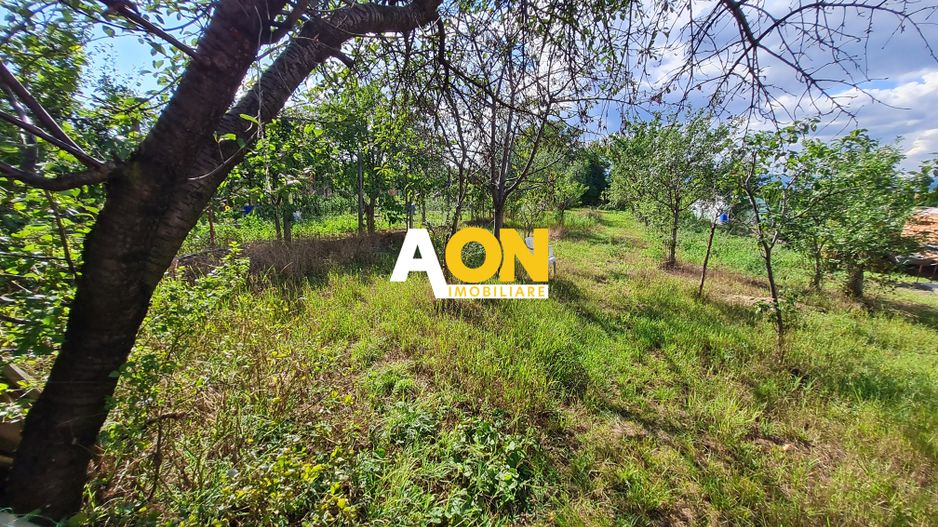 Casa 2 Camere, Teren 1081 mp, Ciugud - Poză 11