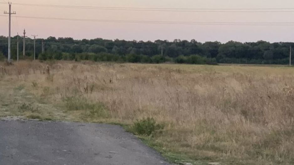 Teren intravilan Peris - Poză 1