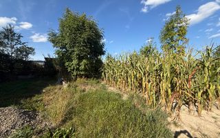 Teren intravilan Voitinel | 6.355 mp - Poză 5