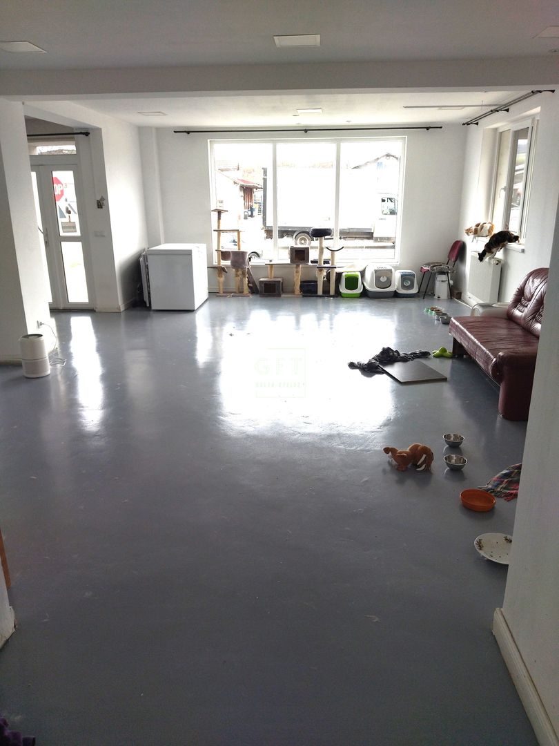 Spatiu comercial, parter, 147 mp, parcare, Zona Sanovil Viisoara - Poză 3