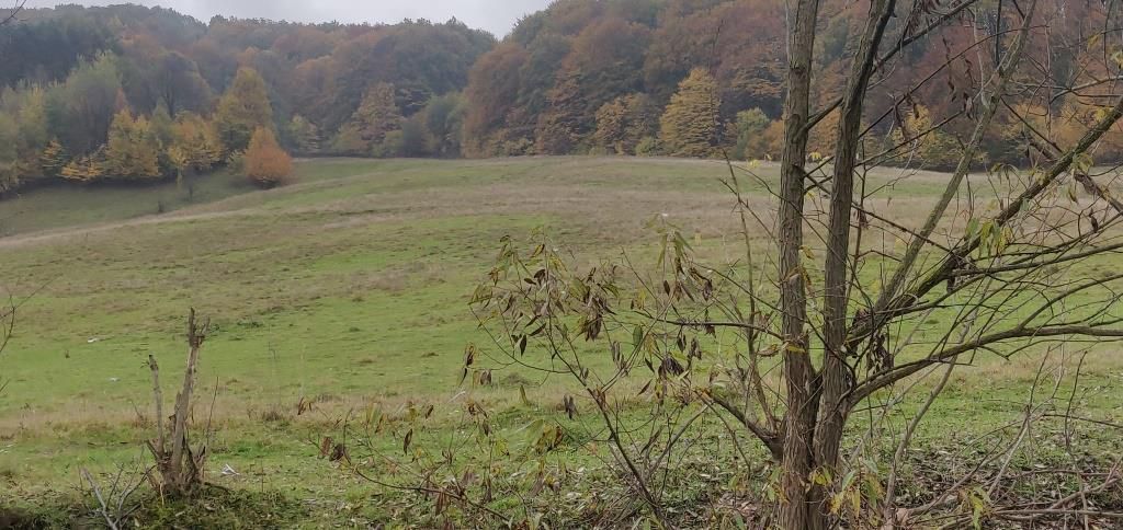 teren Luncani Margineni - Poză 1