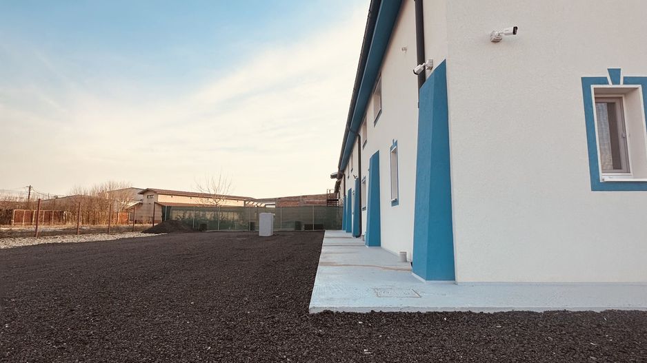 HALA - depozitare | productie | birouri - Poză 10