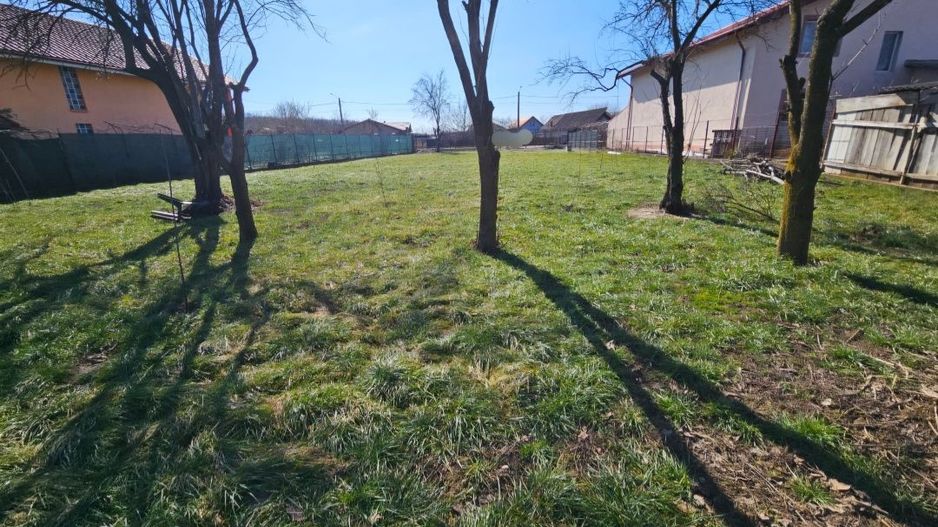 Teren intravilan | Snagov | Utilitati la strada - Poză 8
