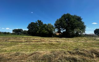 Teren de vânzare | 58 ari | 1.400 de euro/ar |  Săcălășeni. - Poză 3