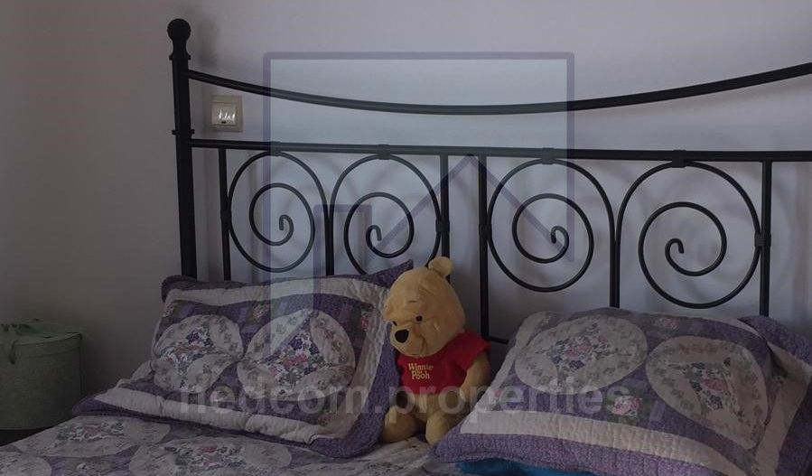 Vanzare apartament 4 camere Piata Unirii - Corneliu Coposu - Poză 7