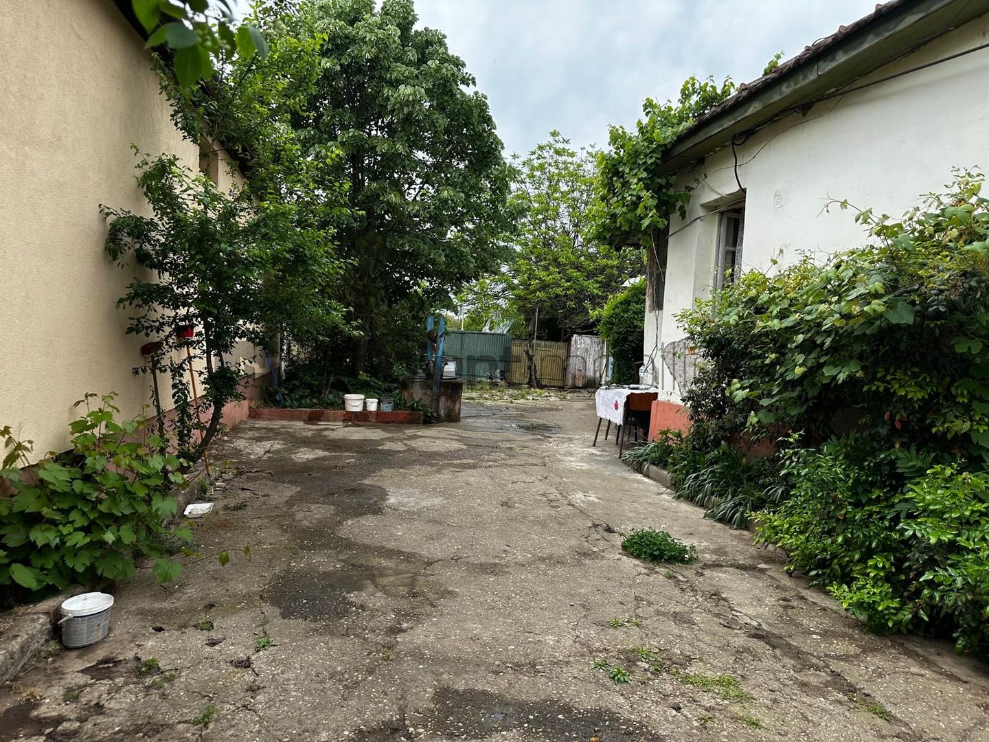 Casa str.Alesdului - Poză 11