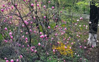 Comision 0% Apartament de 3 camere -Constantin Brancoveanu - Poză 8