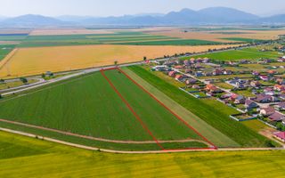 Teren 15.600 mp | Harman, Brasov - Poză 6