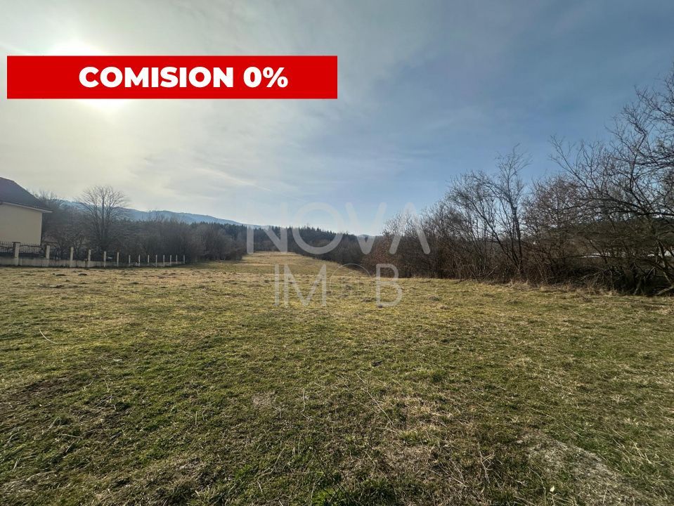 Teren intravilan de vanzare - 1028 mp - Tocile - Poză 1