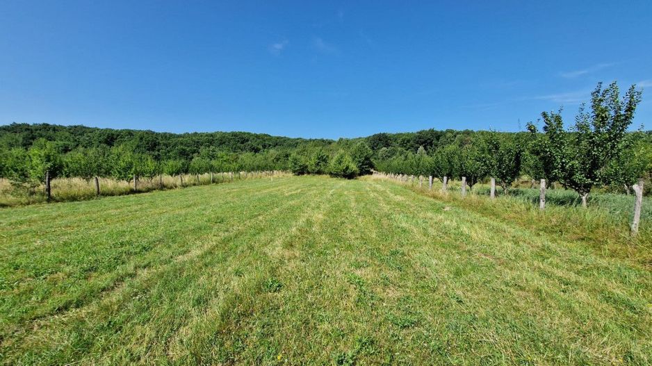 Vanzare teren intravilan, Smeura de Sus - Poză 3