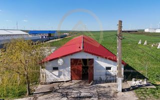 Tariverde - Ferma zootehnica functionala, 3 hectare teren intravilan! - Poză 12