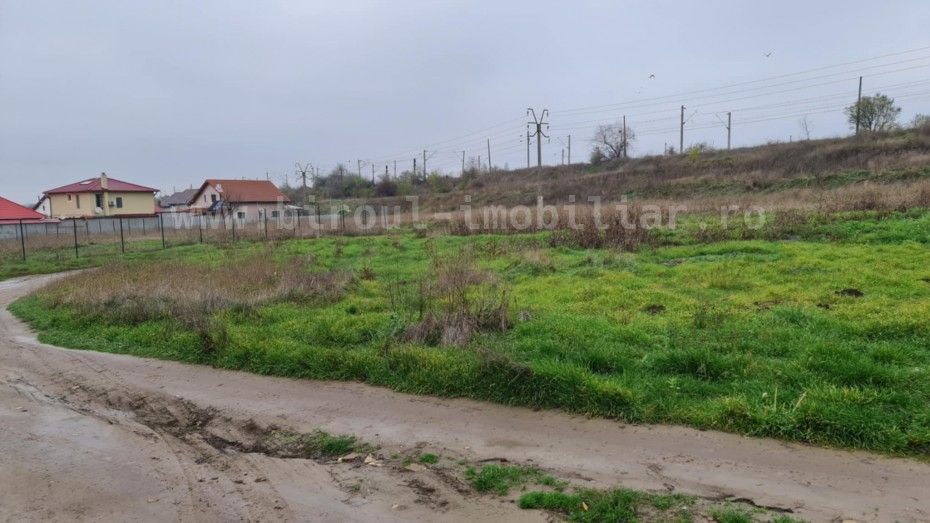 Teren Intravilan 5.000 mp – Perfect pentru Parc Fotovoltaic, Hale sau Lotizare - Poză 5