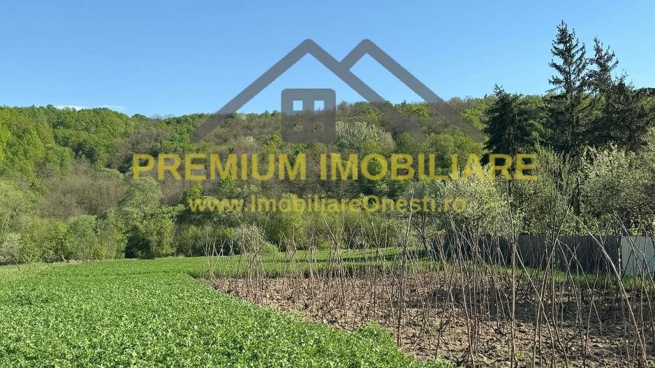 Casa Barsanesti - Poză 13